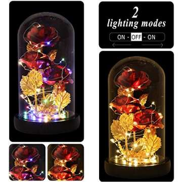 Dream of Flowers Christmas Beauty and The Beast Rose Gifts for Women, Birthday Gifts for Women, Gifts for Mom, Light Up Rose in Glass Dome,Eternal Rose Flower for her, Mother's Day Rose Gift for Wife