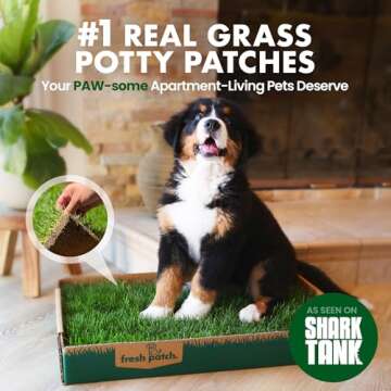 Fresh Patch Real Grass Patch for Dogs, Cats, and Extra Large Pets 30 Pounds and Above – Disposable Pet Grass Pee Pads with Tray – Indoor and Outdoor Potty Training Mat (24 Inches x 48 Inches)