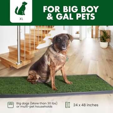 Fresh Patch Real Grass Patch for Dogs, Cats, and Extra Large Pets 30 Pounds and Above – Disposable Pet Grass Pee Pads with Tray – Indoor and Outdoor Potty Training Mat (24 Inches x 48 Inches)