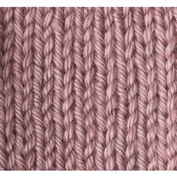 Bulk Buy: Caron Simply Soft Yarn Solids (2-Pack) (Victorian Rose)