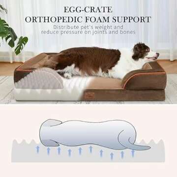 Comfort Expression Large Dog Beds: Orthopedic Foam & Waterproof Design