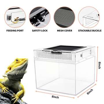 Reptile Growth Mini Reptile Terrarium,8" x 8"x 8" Reptile Tank with Full View Visually Appealing，for Insect，Fish，Tarantula，Hermit Crab，Jumping Spider，Iguana，Tortoise，Leopard Gecko，Frog，Bearded Dragon