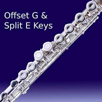 Cecilio Closed Hole C Flute - Musical Instrument, Kids Beginner/Intermediate Flute in Band & Orchestra, Nickel ﻿