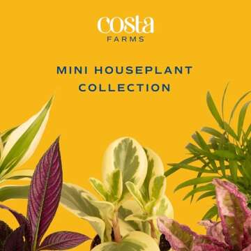 Costa Farms Mini Houseplants (6 Pack), Easy Grow Live Indoor House Plants in Nursery Plant Pots, Grower's Choice with Soil Potting Mix, Potted Home Decor Planter or Outdoor Garden Gift, 4-Inches Tall