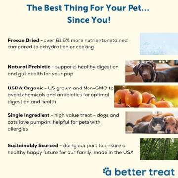 A Better Treat – Freeze Dried Organic Pumpkin Dog and Cat Treats, Organic, Single Ingredient | Natural, Healthy, Diabetic Friendly | Made in The USA