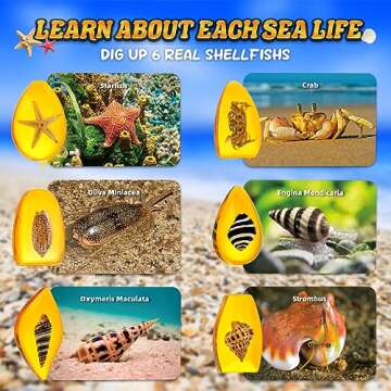 GobiDex Sea Life Amber Dig Kit, Educational Fun Toys STEM Activities Science Kits for Kids Age 6-8-12, Dig Up 6 Real Artificial Shellfish Resin&Collection Specimens, Birthday Gifts for Boys and Girls