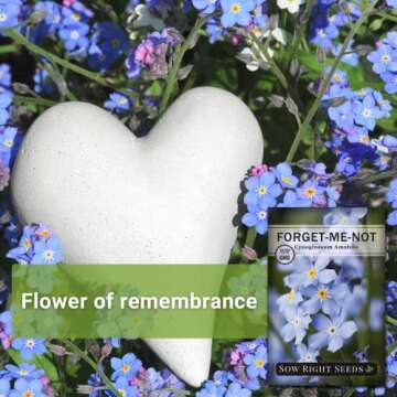 Sow Right Seeds - Forget-Me-Not Flower Seeds for Planting (Cynoglossum amabile) - Non-GMO Heirloom Packet with Instructions - Great to Pair with Cards of Remembrance - Small Blue Memory Blooms (1)