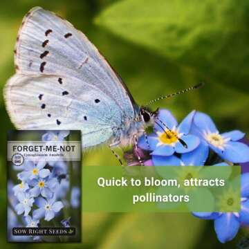 Sow Right Seeds - Forget-Me-Not Flower Seeds for Planting (Cynoglossum amabile) - Non-GMO Heirloom Packet with Instructions - Great to Pair with Cards of Remembrance - Small Blue Memory Blooms (1)