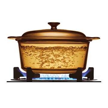 Visions 5L Round Dutch Oven With Glass Lid/Cover