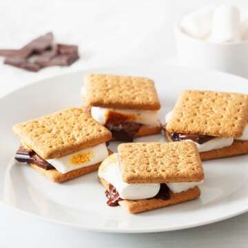 Electric S'mores Maker with Lazy Susan & Roasting Sticks