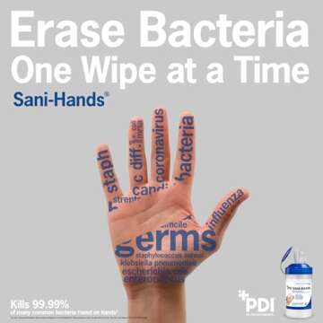 Sani-Hands Hand Sanitizer Wipes 100 Packets Per Box