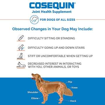 Nutramax Laboratories Cosequin Maximum Strength Joint Health Supplement for Dogs - With Glucosamine, Chondroitin, and MSM, 132 Chewable Tablets