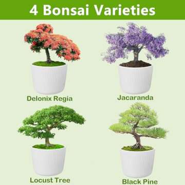 Bonsai Tree Kit, Bonsai Starter Kit with 4 Bonsai Tree Seeds, Tools & Planters, Bonsai Tree Live Plants Indoor, Gardening Gifts for Women Men Mom Father Plant Lover, Unique Christmas Gifts