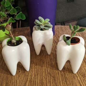 Unique Teeth Pots