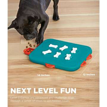 Nina Ottosson Dog Casino Puzzle Toy - Engaging Fun