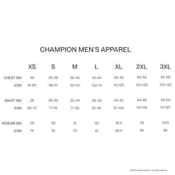 Champion mens Classic T-shirt, Classic Script T Shirt, Black-y06794, Large US