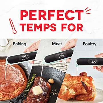 Dash Precision Quick-Read Meat Thermometer - Waterproof