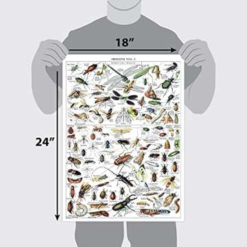 Vintage Insect Poster Print - Entomology Identification Reference Chart Volume 1 & 2 (LAMINATED, 18" x 24")