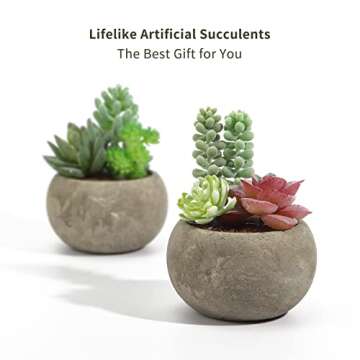 SPEPLA Succulents Plants Artificial 4 Pack, Mini Fake Succulents in Pots, Assorted Small Faux Succulent Decorative for Living Room Home Office Decor