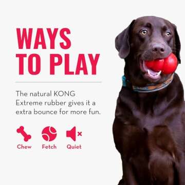 KONG Extreme Ball with Hole - Dog Fetch Toy - Durable Dog Ball Toy for Training, Interactive Playtime & More - Natural KONG Extreme Rubber Ball for Dogs - Black - For Large/Medium Dogs