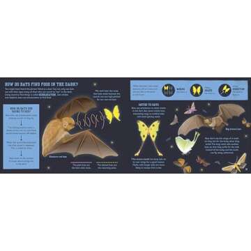 The Bat Book (Conservation for Kids)