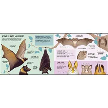 The Bat Book (Conservation for Kids)