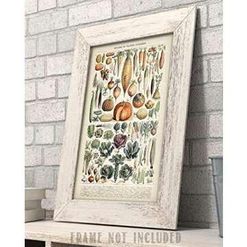 Antique Heirloom Legumes and Root Crops Vegetables 11x14 Unframed Print – Vintage Botanical and Food-Themed Wall Art, Garden Vegetable Artwork, Heritage Vegetable Guide, Kitchen & Farmhouse Décor