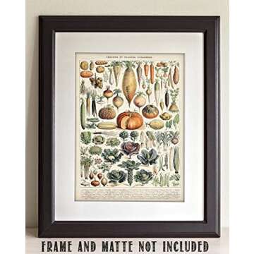 Antique Heirloom Legumes and Root Crops Vegetables 11x14 Unframed Print – Vintage Botanical and Food-Themed Wall Art, Garden Vegetable Artwork, Heritage Vegetable Guide, Kitchen & Farmhouse Décor