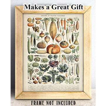 Antique Heirloom Legumes and Root Crops Vegetables 11x14 Unframed Print – Vintage Botanical and Food-Themed Wall Art, Garden Vegetable Artwork, Heritage Vegetable Guide, Kitchen & Farmhouse Décor