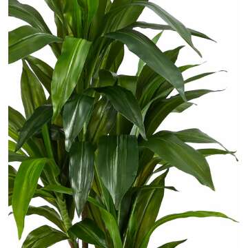 Nearly Natural Real Touch Leaves Artificial Dracaena Plant, 4ft, Green