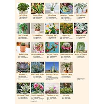 Vintage Succulent Puzzles for Adults 1000 Pieces, House Plants Puzzle Nature Featuring 23 Succulent Plants, Cactus Jigsaw Puzzle Botanical