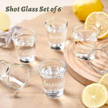 Funny Coworker Shot Glasses for Boss Day Gifts