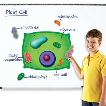 Learning Resources Giant Magnetic Plant Cell