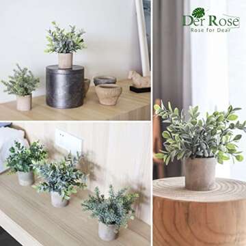 Mini Potted Eucalyptus Plants - 3 Pack by Der Rose