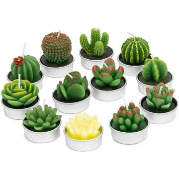 Handmade Succulent Cactus Candles for Home & Events