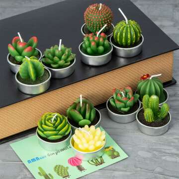 Handmade Succulent Cactus Candles for Home & Events