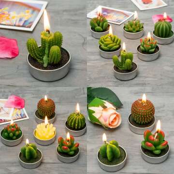 Handmade Succulent Cactus Candles for Home & Events