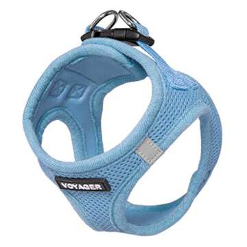 Best Pet Supplies Voyager Step-in Air Dog Harness - All Weather Mesh Step in Vest Harness for Small and Medium Dogs Baby Blue (Matching Trim), L (Chest: 18-20.5")