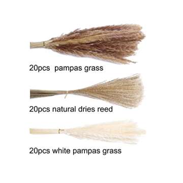 euokrpf 60pcs Natural Dried Pampas Grass,20 Pcs White Pampas & 20 Pcs Brown Pampas & 20 Pcs Reed Grass Boho Decor Wedding Decorations Flower Arrangements Home Decor