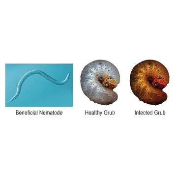 NaturesGoodGuys Beneficial Nematodes Triple Blend Pack HB+SC+SF - General Biological Pest Control (25 Million)