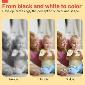 URMYWO Black and White Baby Toys, High Contrast Newborn Toys 0-3 Months Brain Development, Tummy Time Toys, Soft Baby Book, Infant Sensory Toys 0-6-12 Months Visual Stimulation Montessori Toy Gift