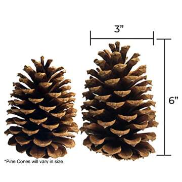 10 Large PineCones 4" to 6” Tall Bulk Package All Natural, Bug Free, and Perfect for Crafting for Home Accent Decor Pine Cones - UNSCENTED (10)