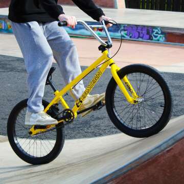 Eastern Bikes Paydirt - 20-Inch Freestyle BMX for Beginners, Durable Frame, Ideal for Street and Park Riding
