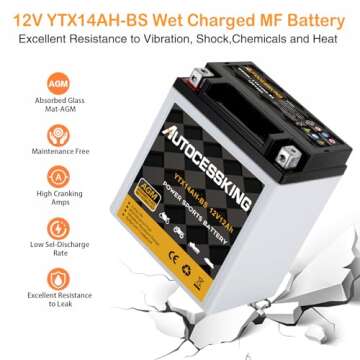 Autocessking YTX14AH-BS 12V 12Ah Battery, Rechargeable Sealed AGM Battery Maintenance Free Powersport Replacement Battery for Motorcycle, ATV and Scooter