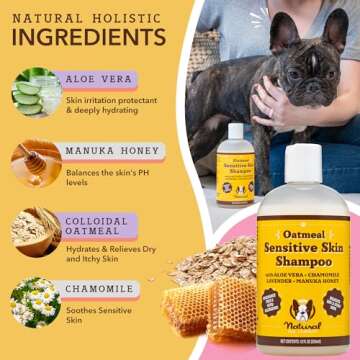 Natural Dog Company Oatmeal Shampoo for Dogs with Sensitive Skin, Ideal Anti Itch Dog Shampoo and Puppy Shampoo Oatmeal Itch Relief Dog Dandruff Shampoo, Aloe Itchy Skin Relief for Dogs 12 oz