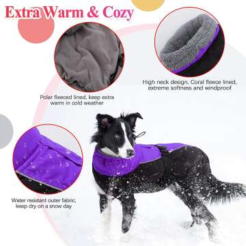 IECOii Warm Dog Coat