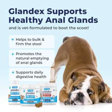 Glandex Dog Fiber Supplement Powder for Anal Glands with Pumpkin, Digestive Enzymes & Dog Probiotics for Digestive Health - Vet Recommended - Boot The Scoot (Pork Liver, 4.0oz Powder)