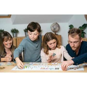 Tokaido Board Game