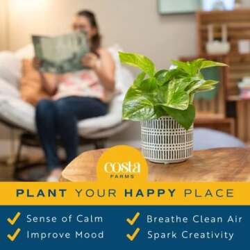 Costa Farms Pothos Live Plants (2-Pack), Easy Care Vining Live Indoor Houseplants, Air Purifier Trailing Plants Potted in Nursery Pots, Potting Soil, Gift for Office and Home Decor, 8-Inches Tall