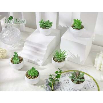 Mini Succulent Plants Set of 6 for Aesthetic Decor